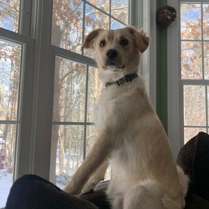 Meet your Posher, Christy